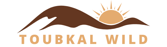 تصميم بدون عنوان(1)